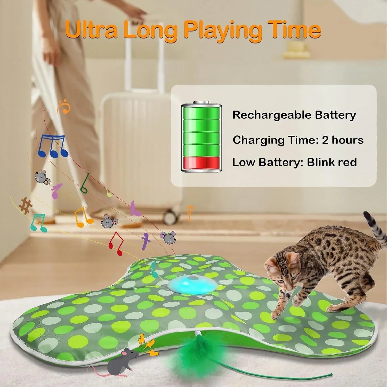 Smart Interactive Hide And Seek Cat Toy With Squeaky Mouse