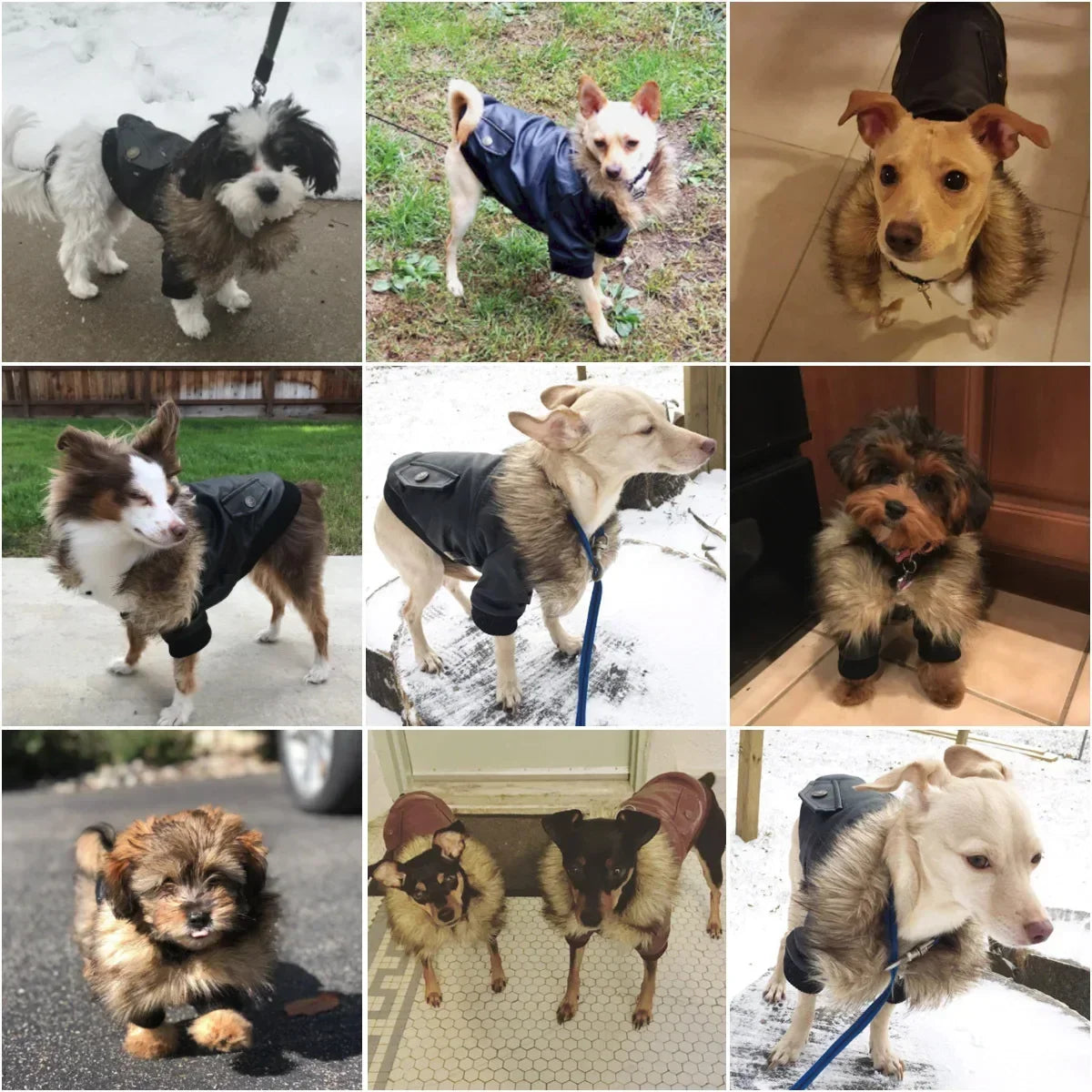 for Coat Medium Dog winter Leather pets for dog Waterproof PU clothes Small Dogs Winter Dog to Puppy Coats clothes Jackets