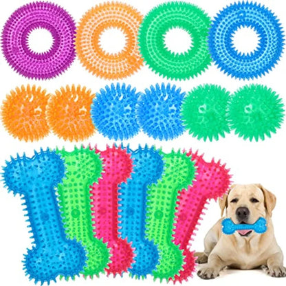 Dog Squeaky Toys Pack TPR Rubber Chew Toys For Puppy