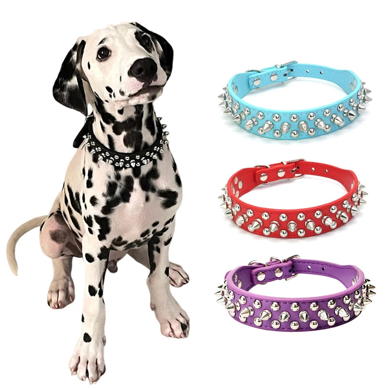 Rivet Collar and Leash Set for Medium to Large Dogs
