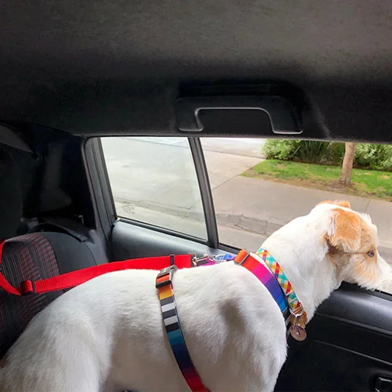 Two-In-One Pet Car Seat Belt Nylon Lead Leash Adjustable Durable