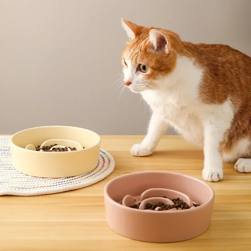 Ceramic Slow Feeder Pet Bowl for Dogs and Cats