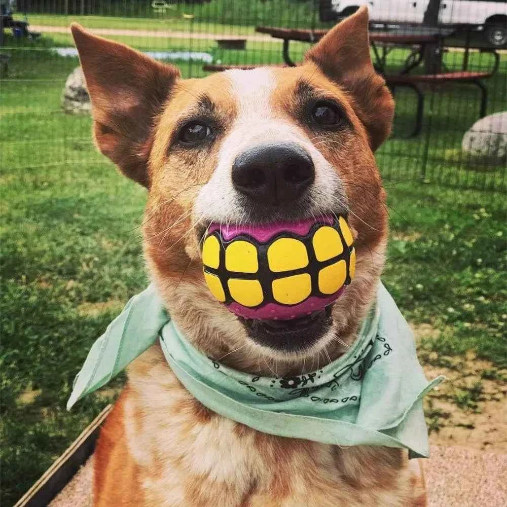 Dog Balls Toys Squeaky Fetch - Rubber Funny Ball Gifts for Large Medium Dogs