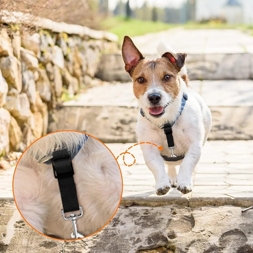 Adjustable Nylon Dog Collar Safety Clips Prong Connectors