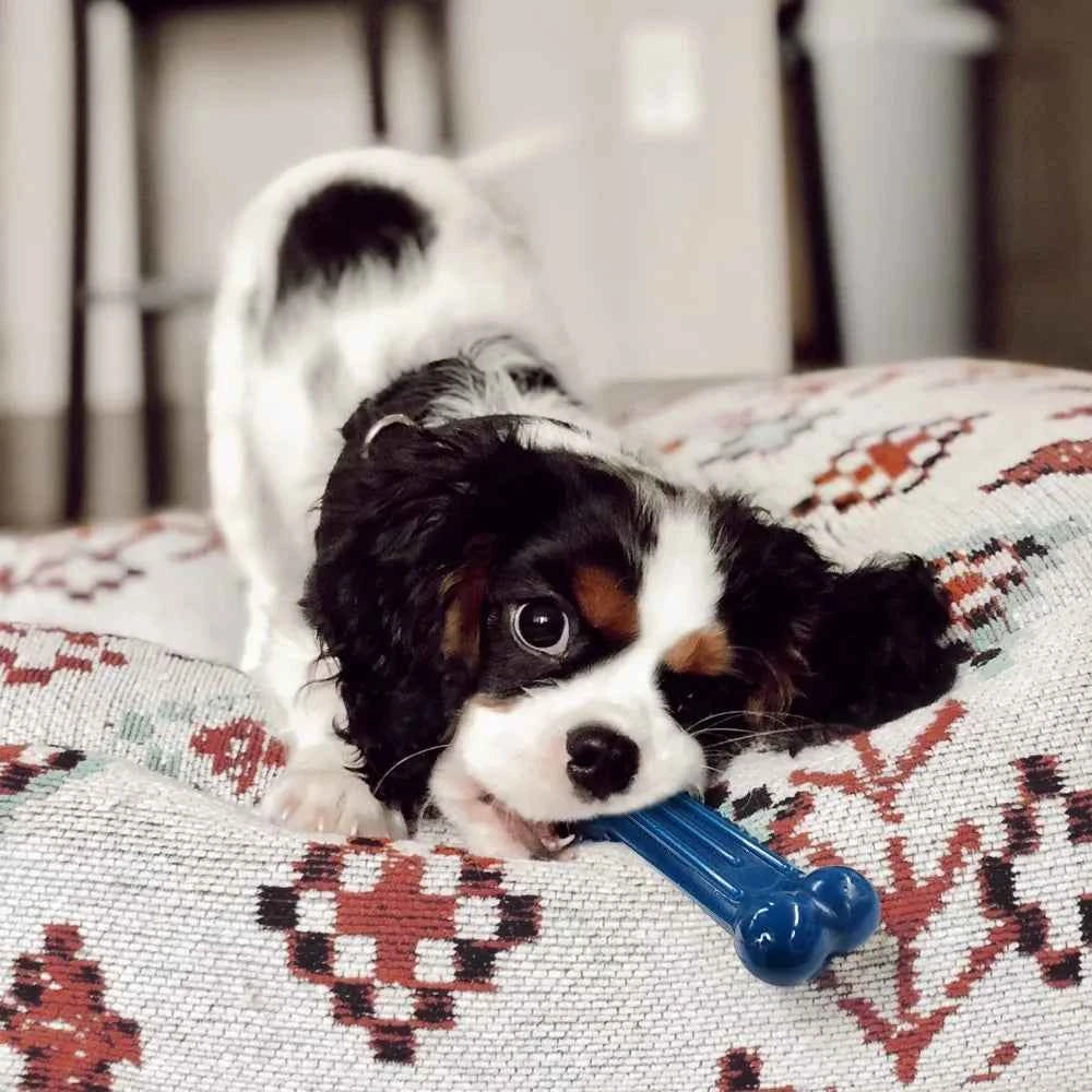 Durable Long-Lasting Small Dog Chew Toys for Aggressive Chewers Puppy Teething Toys Value Pack Tough Interactive Dental Treats for Tiny Dogs Puppies Under 15 lbs X-Small Breed Teething Relief Rubber Bones for Puppy Teeth