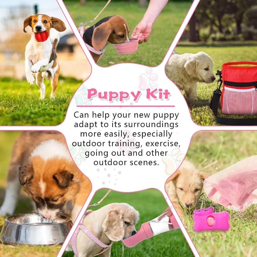 Puppy Essentials Starter Kit 65 Pcs Includes Leash and Toys