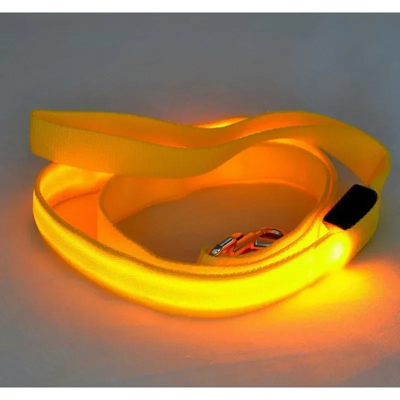 LED Light Up Dog Safety Leash Luminous Flashing Lead