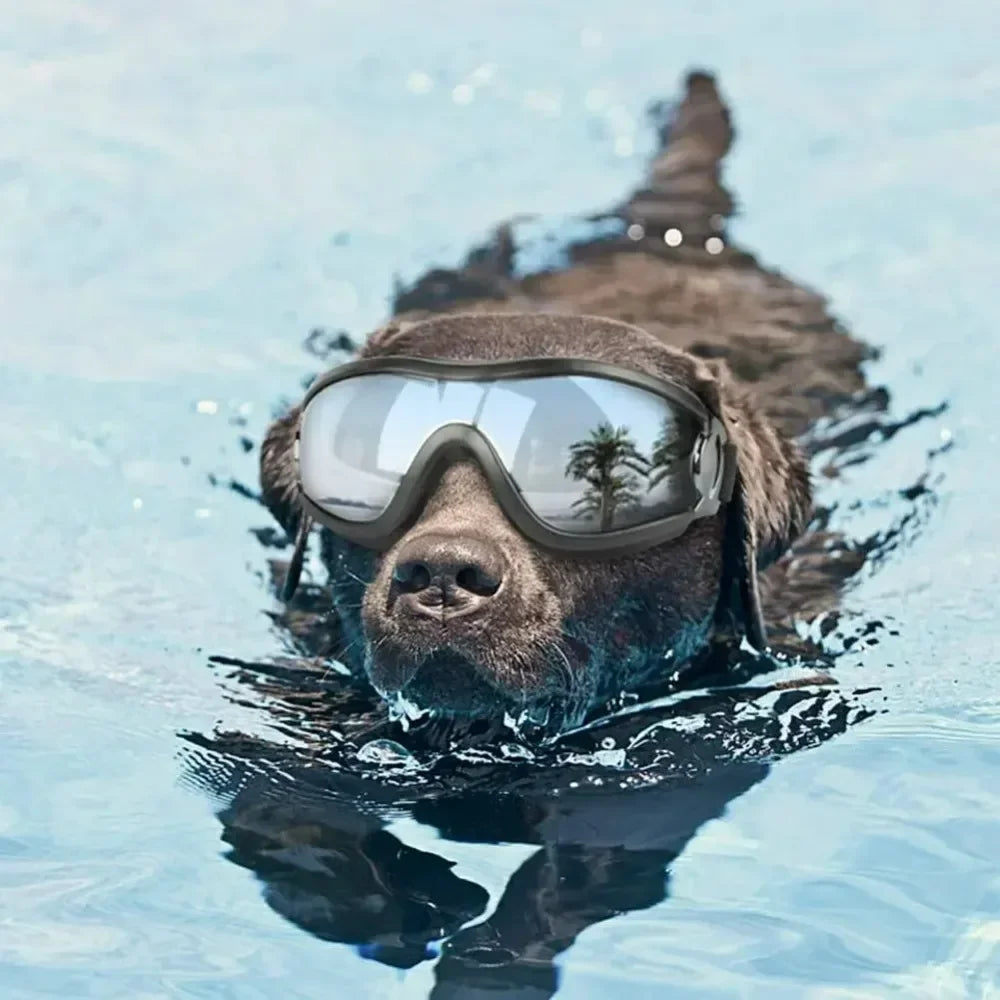 Adjustable Dog Goggles Anti UV Sunglasses Eye Protection