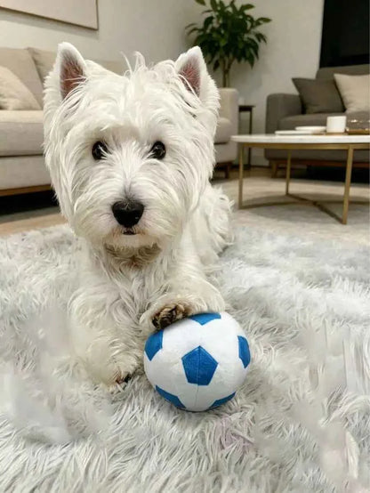 Durable Plush Squeaky Football And Soccer Ball Toy Set For Dogs