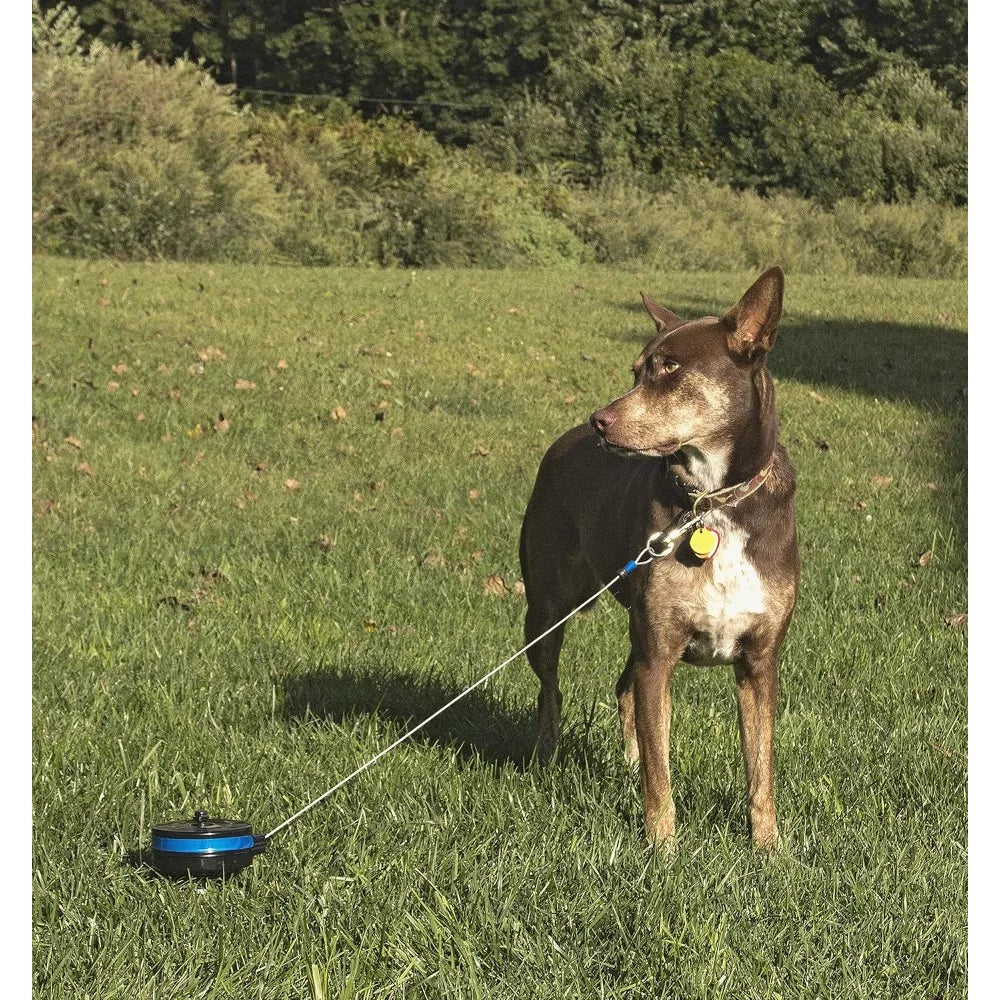 YTYIN Bracket Mount and Stake Retractable Dog Leash Tie Out