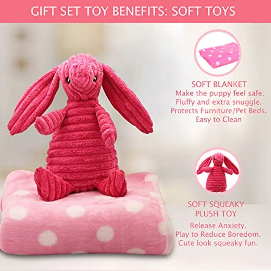 YAO HUI HUANG Puppy Chew Toy Set With Squeaky Teethers