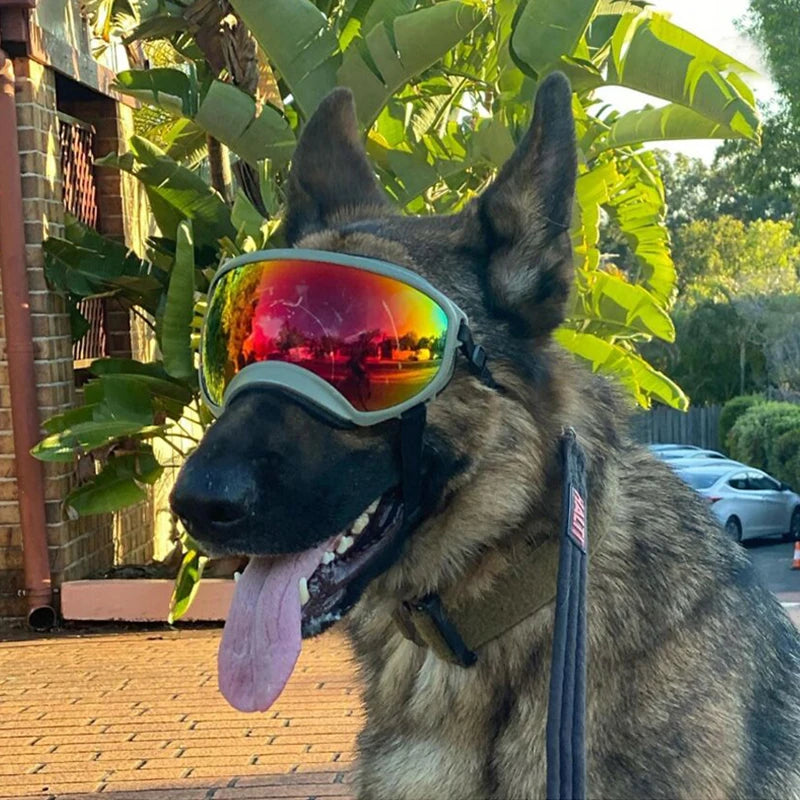 PETRAVELCN Dog Goggles Sunglasses Anti UV Windproof Eyewear