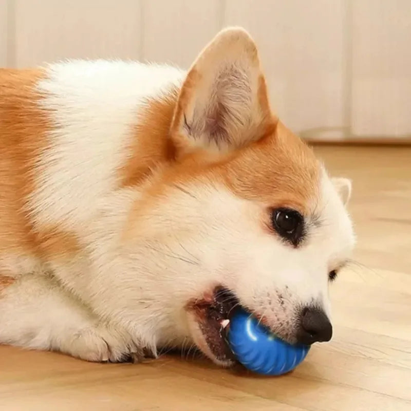 Automatic Moving Dog Ball Toy USB Smart Interactive Chew Ball