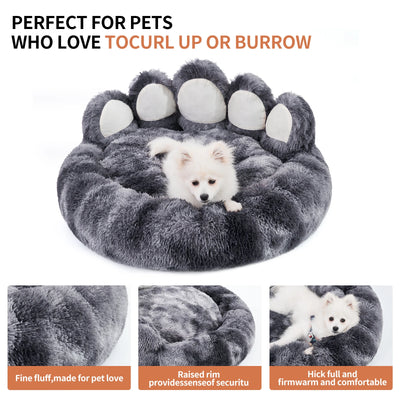 Pet Comort