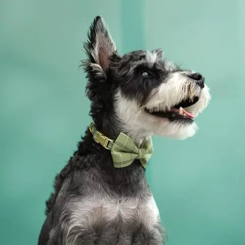 YTYIN Dog Harness And Leash Set With Bow And Plaid Collar