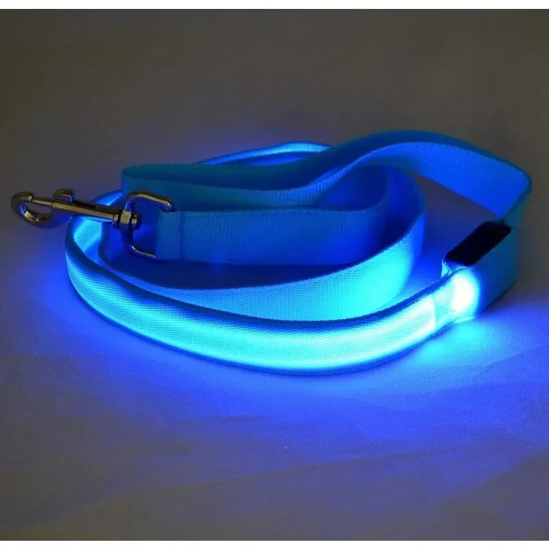 LED Light Up Dog Safety Leash Luminous Flashing Lead