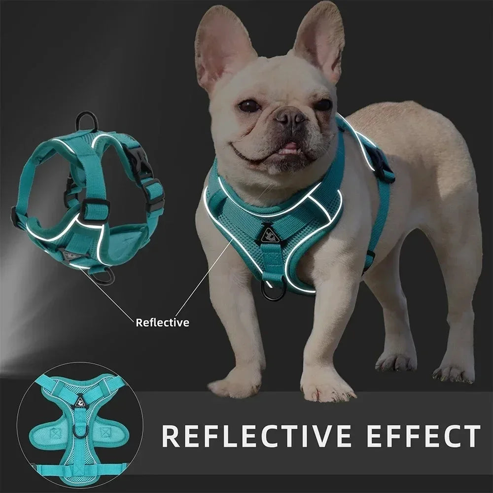 NONECN No Pull Reflective Adjustable Dog Harness And Leash Set