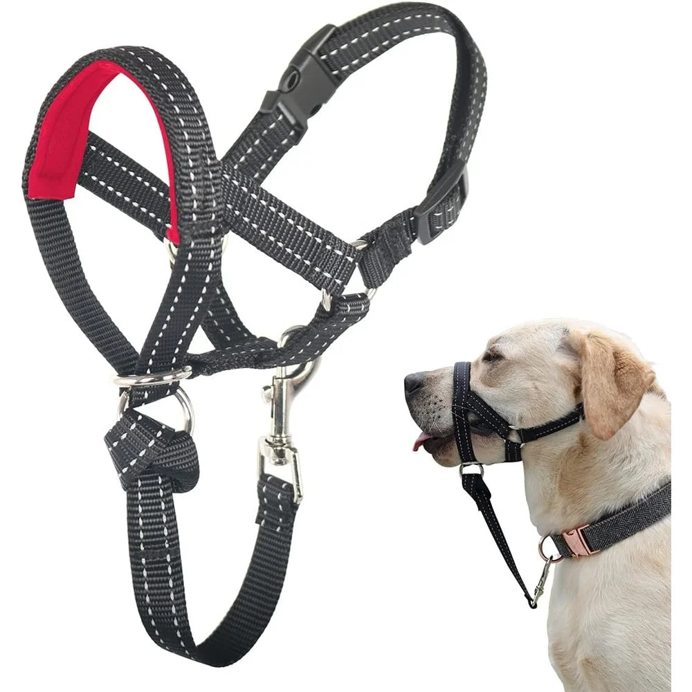 Reflective No Pull Soft Padded Dog Head Halter With Leash