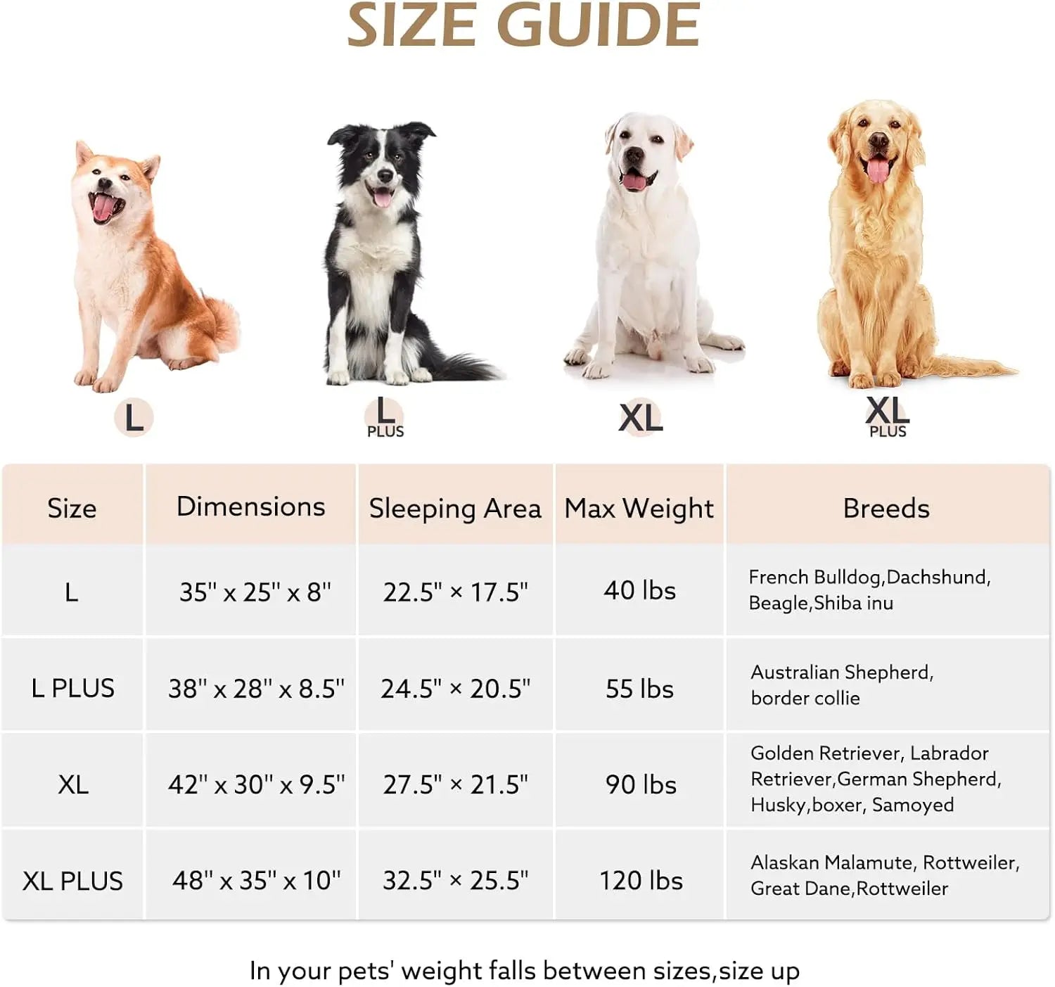 Orthopedic Dog Bed With Sides For Comfort And Support