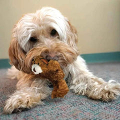 Low Stuffing Dog Toy with Squeaker, X-Small, 3 Animals: Bear, Duck, Frog