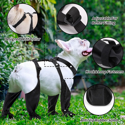 CN Guangdong Dog Paw Protectors Boots Leggings Waterproof Outdoor Walks