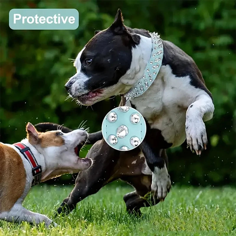 Rivet Collar and Leash Set for Medium to Large Dogs