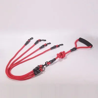 Double Head Nylon Dog Leash And Coupler For Two Dogs