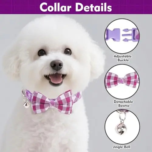 YTYIN Dog Harness Set With Adjustable Collar And Leash