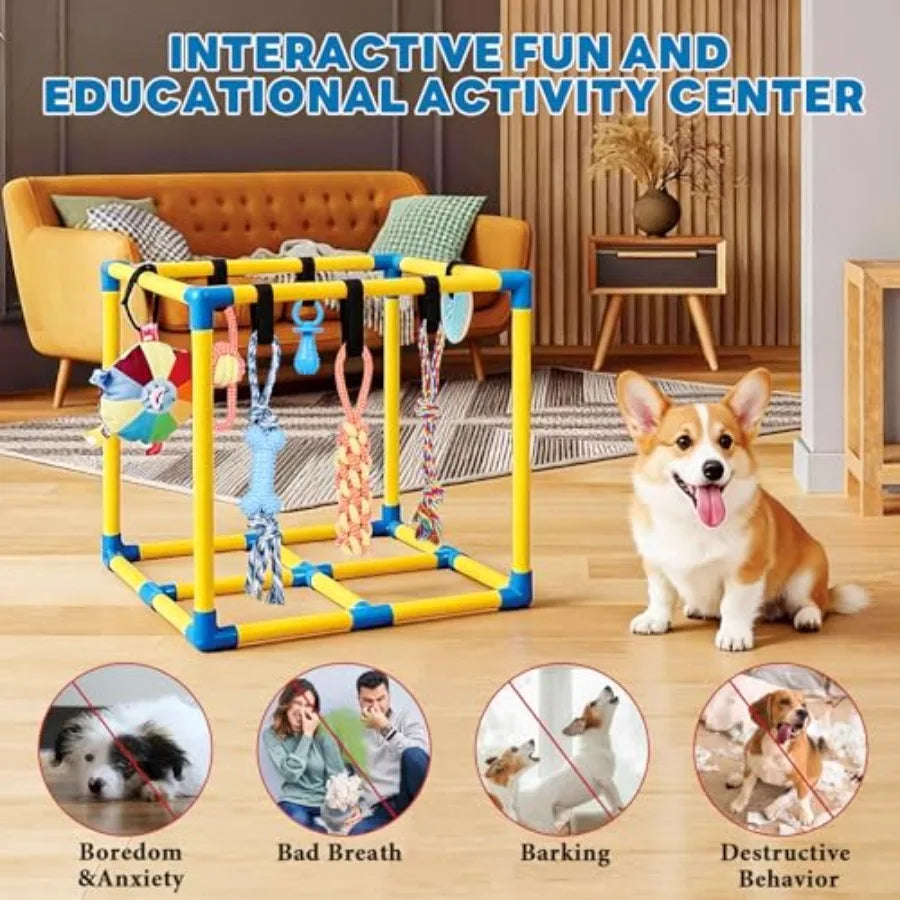 YAO HUI HUANG Deluxe Puppy Play Gym For Small Dogs