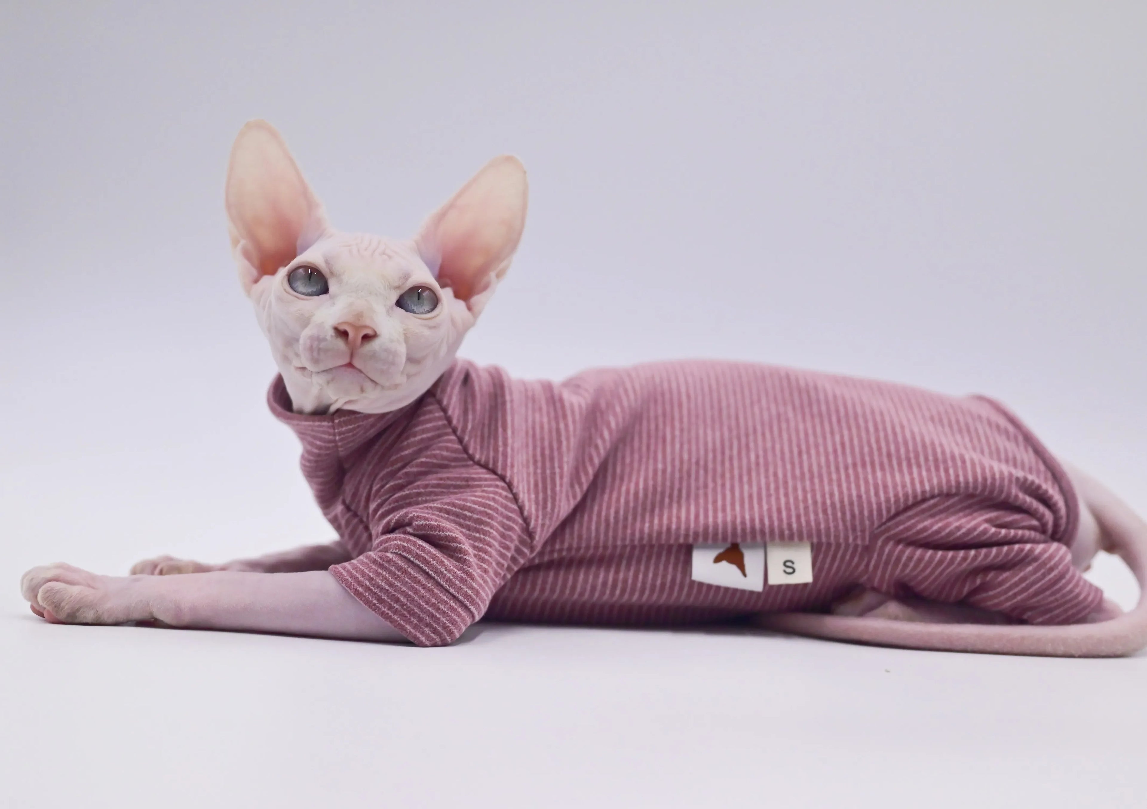 Duomasumi Hairless Cat Hoodie Four Legged Warm Soft For Sphynx