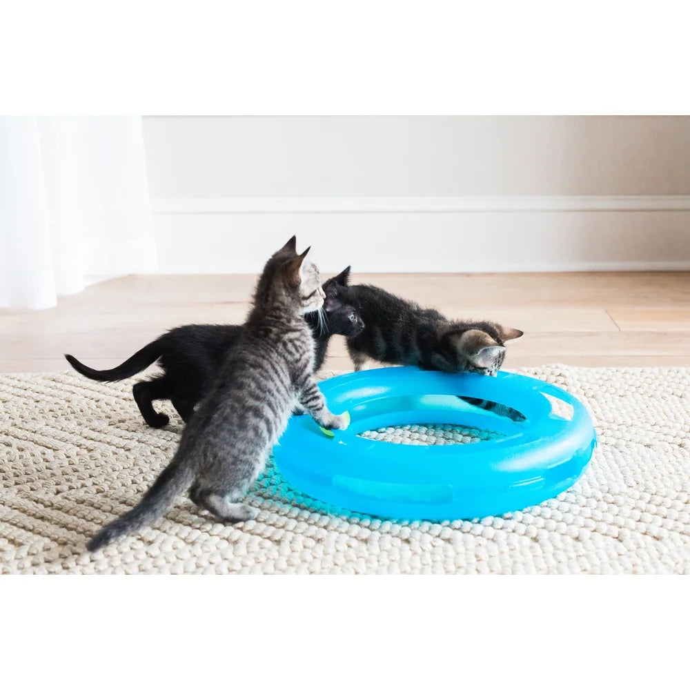 Crazy Circle Cat Toy Boredom Buster Reloadable Catnip Ball