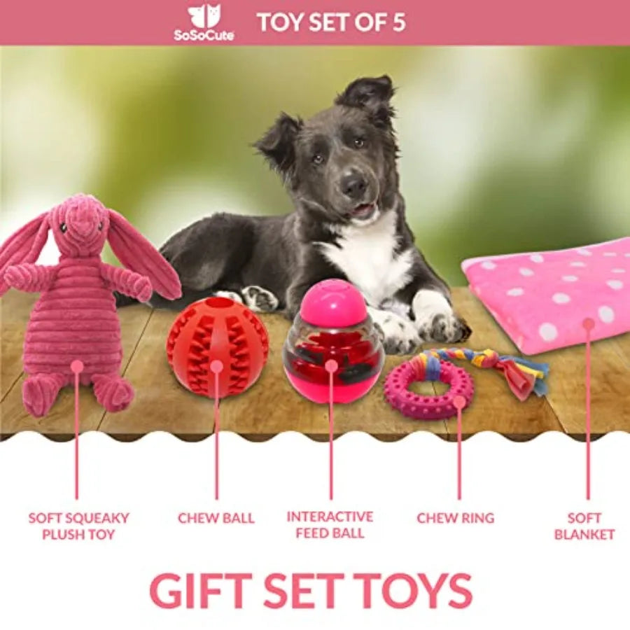 YAO HUI HUANG Puppy Chew Toy Set With Squeaky Teethers