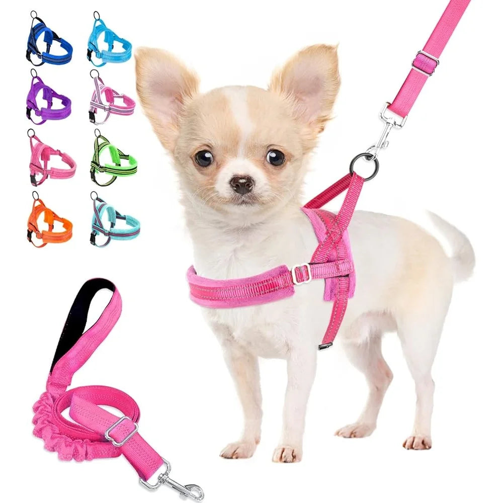 Adjustable Reflective Padded Dog Harness And Leash Set