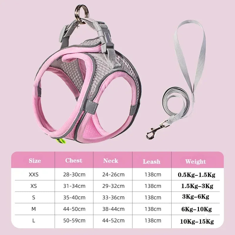 Reflective Nylon Dog Harness Vest and Leash Set for Small Breeds