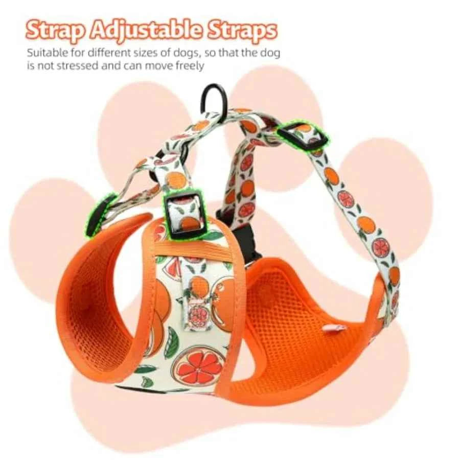 Small Dog Harness and Leash Set of 6, No Pull Soft Lightweight Mesh Puppy Harness Adjustable Cute Floral Pattern Pet Harness fo