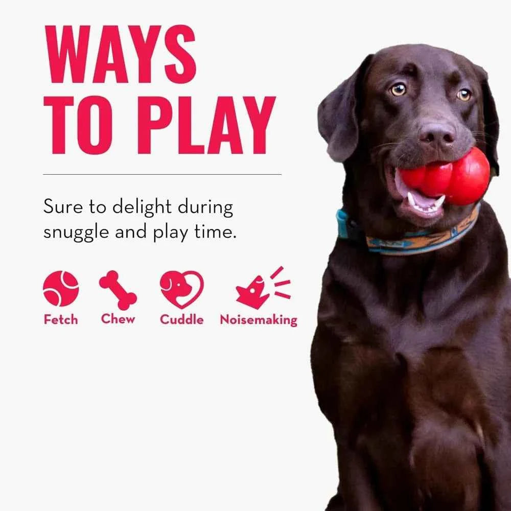 Small Alligator Cozie Dog Toy, Minimal Mess, Squeaky, Durable, 2 Sizes