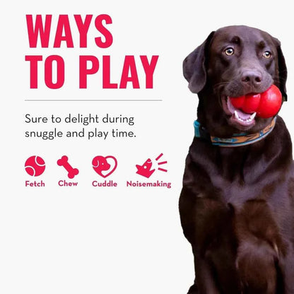 Small Alligator Cozie Dog Toy, Minimal Mess, Squeaky, Durable, 2 Sizes