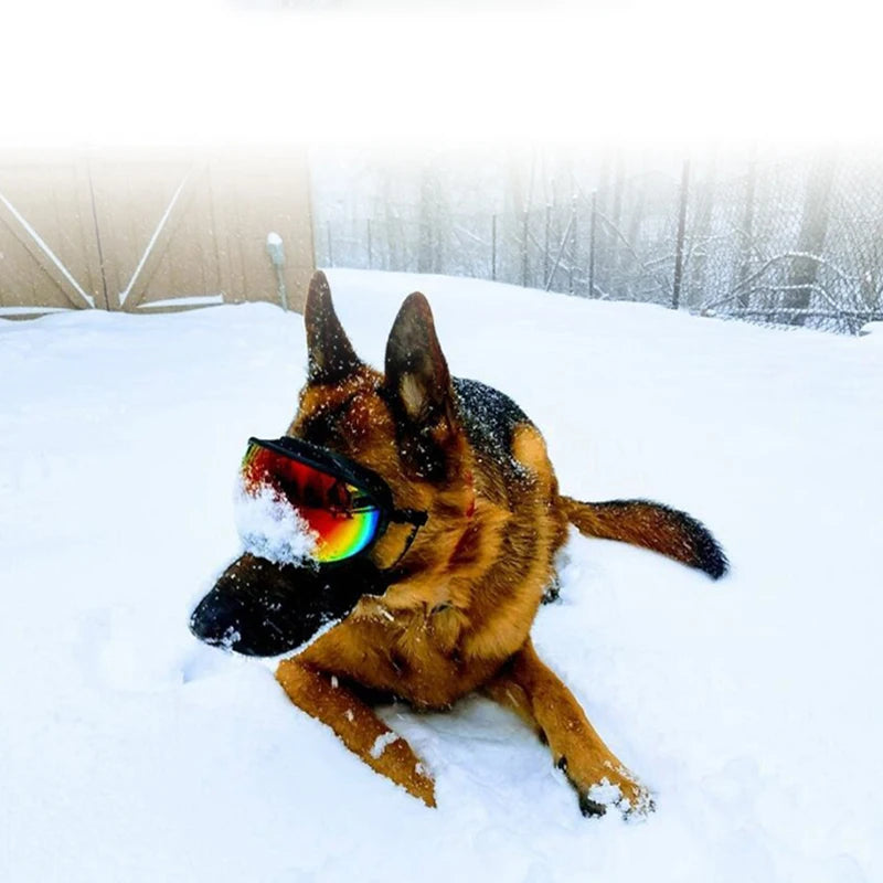 PETRAVELCN Dog Goggles Sunglasses Anti UV Windproof Eyewear