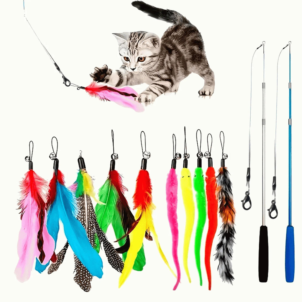 Retractable Cat Teaser Wand Indoor Fun For Cats And Kittens