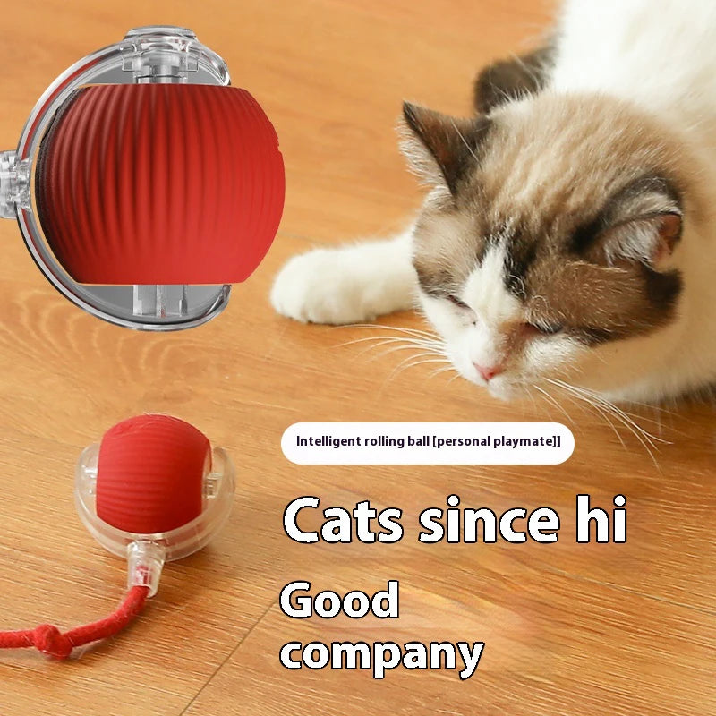 Interactive Cat Ball Toy Auto Rolling Teaser Sensor Kitten Rechargeable