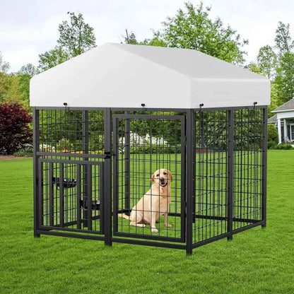 Outdoor Metal Dog Kennel with Roof - 4ft x 4ft Enclosure for Pets