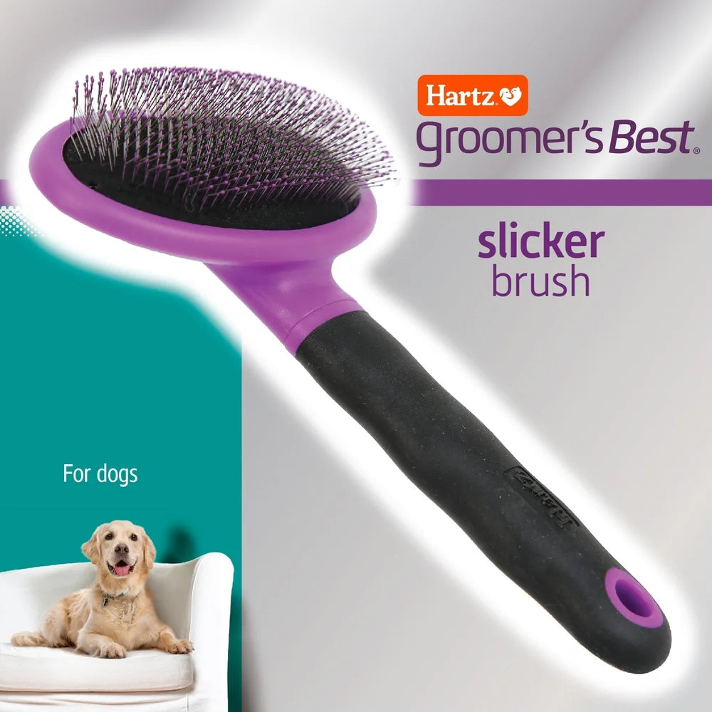 Slicker Brush Large Dogs Ergonomic Design Detangles Removes Mats Gently Grabs Loose Hair Distributes Natural Oils Essential