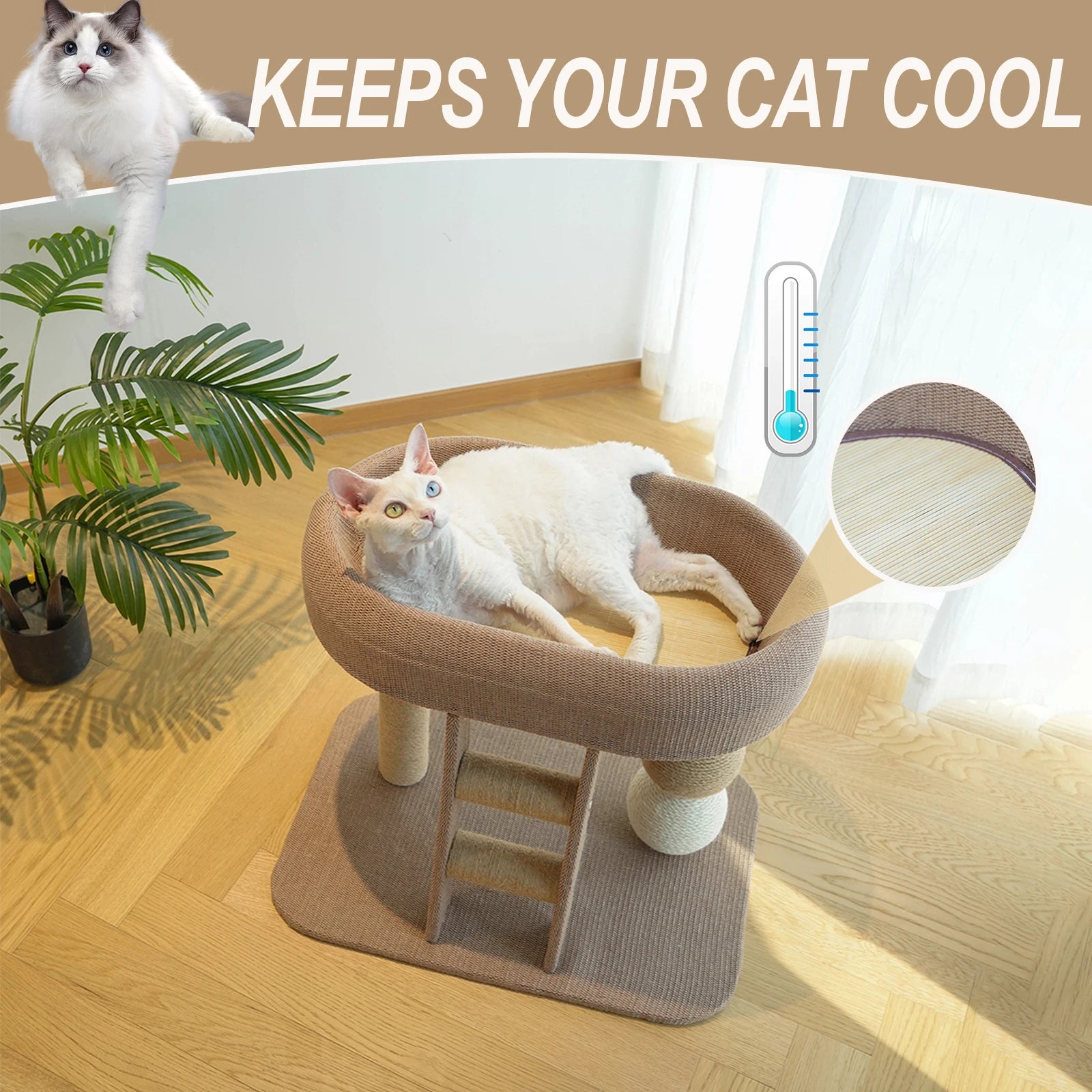 Guangdong Indoor Cat Frame With Tower Bed And Sisal Ball