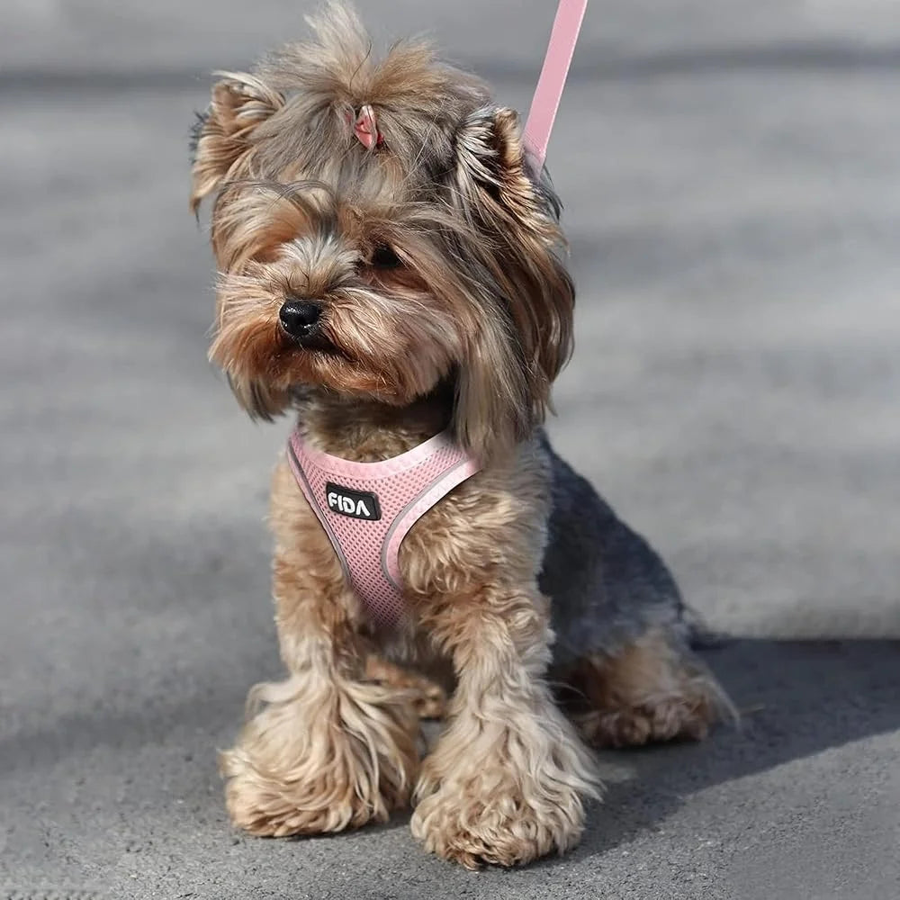 Adjustable Escape Proof Mesh Cat Harness And Leash Set