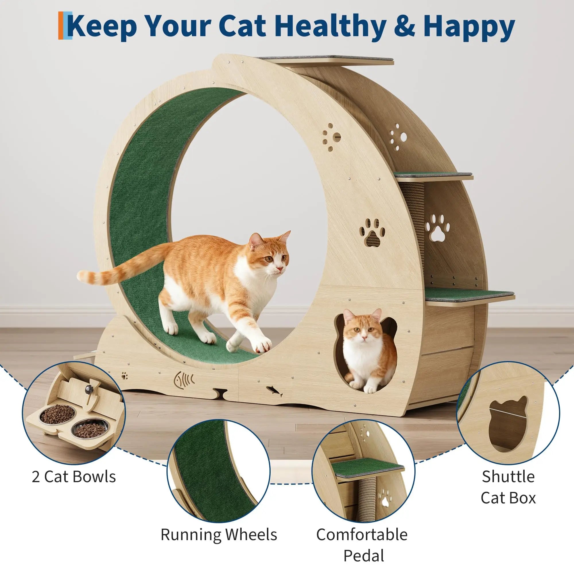 HiMISS Multifunctional Cat Exercise Wheel Featuring Scratcher And Bowls