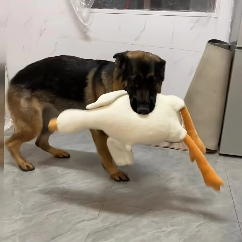 Plush Duck Dog Toy Chew and Play Realistic Durable Design