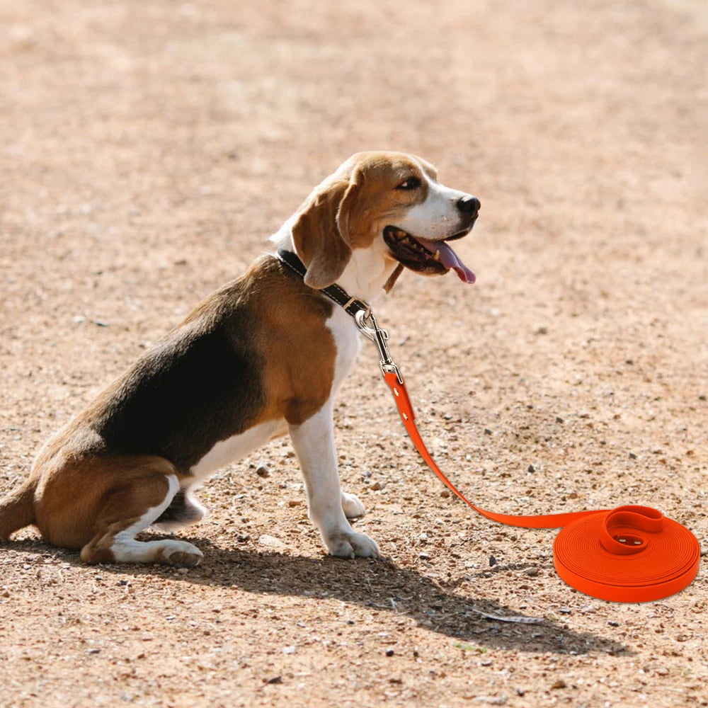 Livepetsme Waterproof Dog Leash PVC Easy Clean Walking Lead