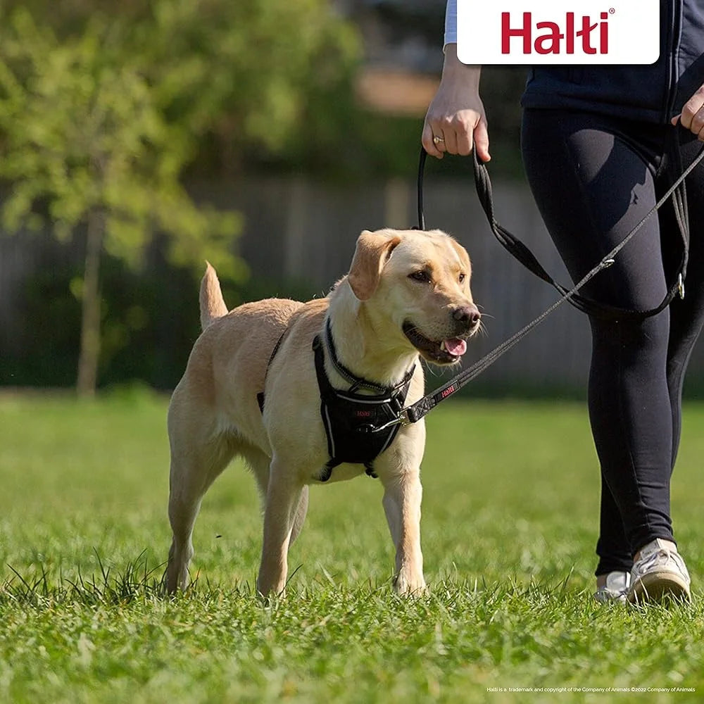 No Pull Dog Harness Adjustable Reflective Training Leash