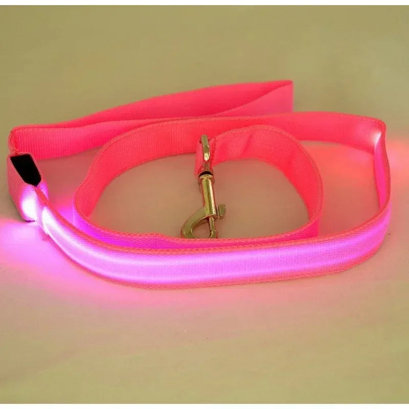 LED Light Up Dog Safety Leash Luminous Flashing Lead