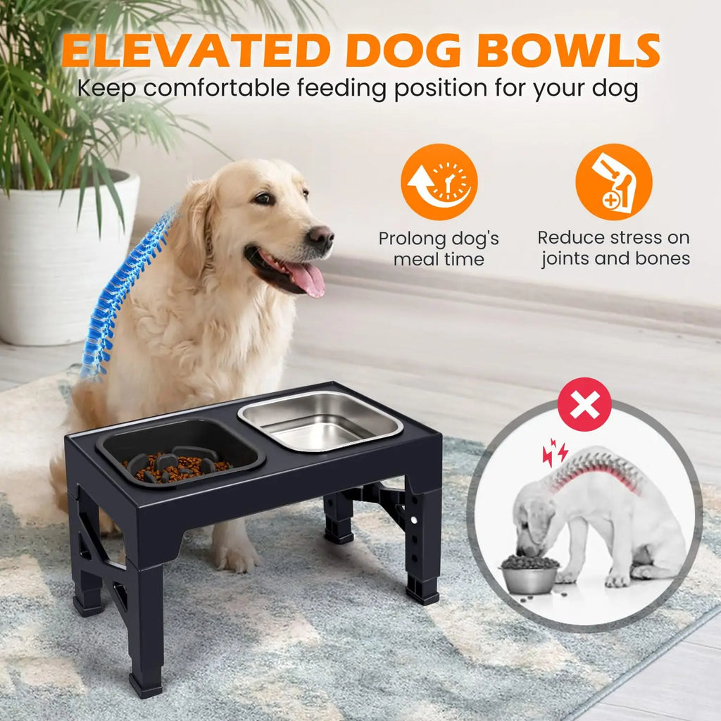 Dual Elevated Slow Feeder Dog Bowls With Foldable Stand